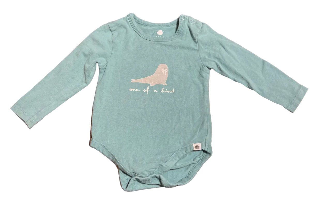 Rise Little Earthling Long Sleeve Onesie, 12-18 months