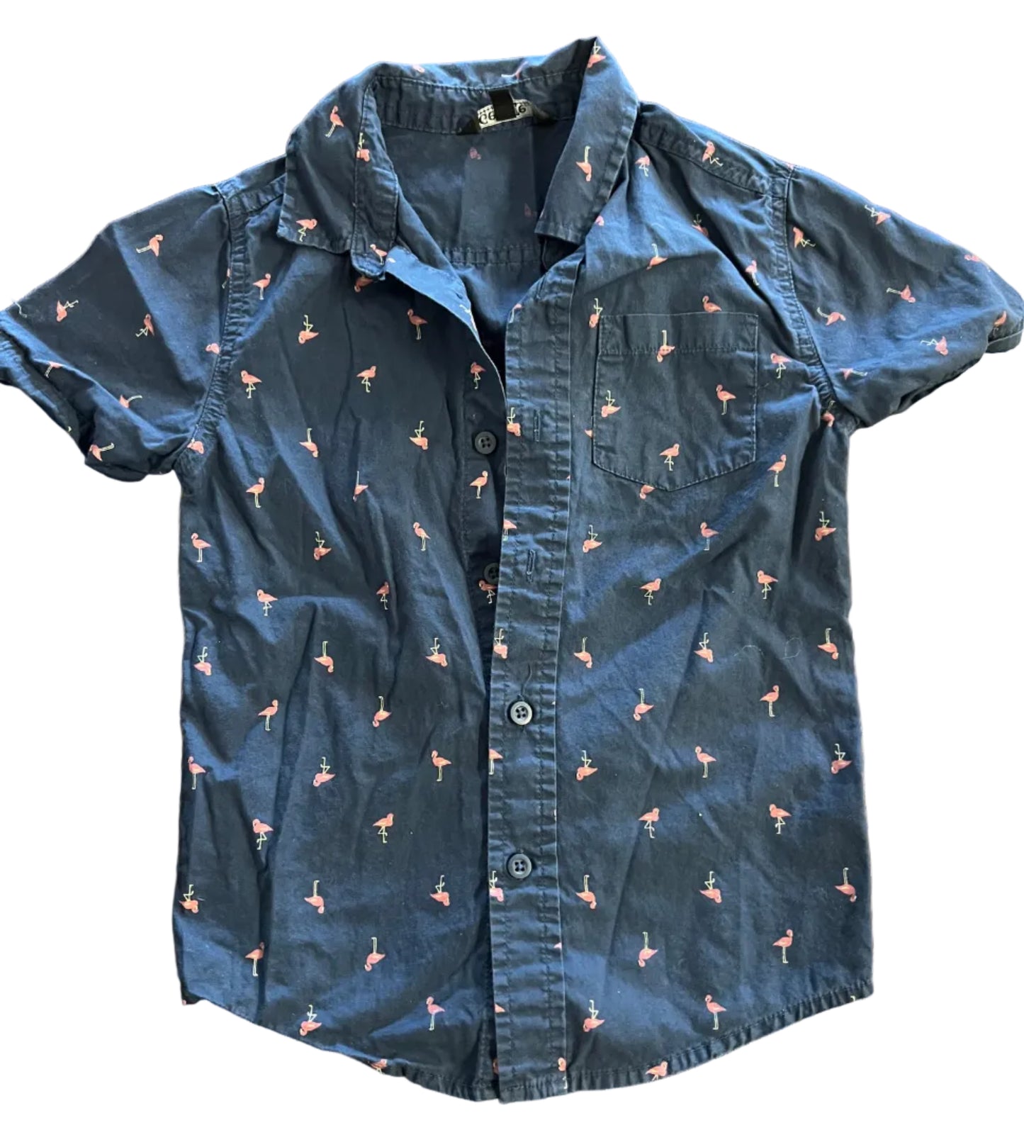 George Button Down Shirt, Size 6