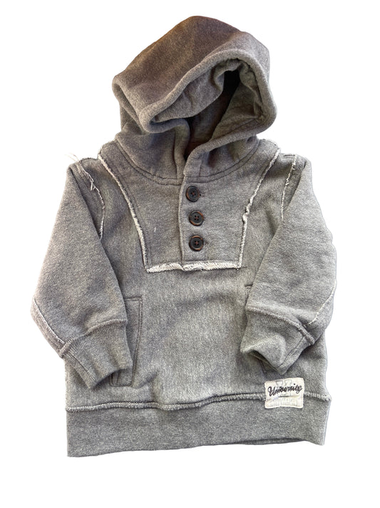 The Children’s Place Hoodie, 12-18 months