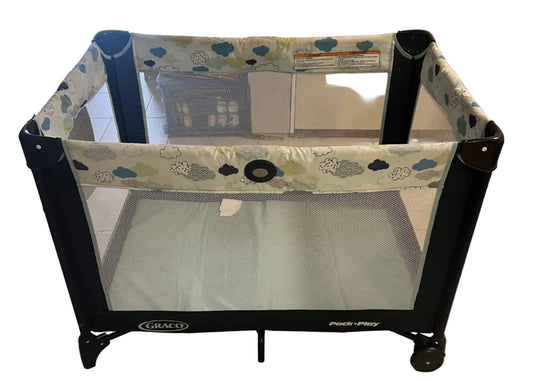 Graco Pack N Play with carrying case