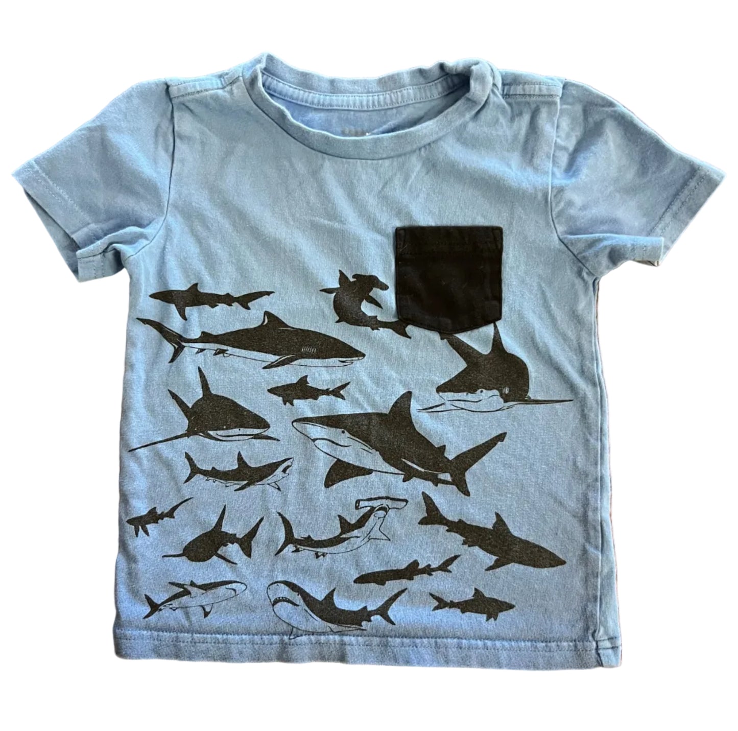 Pekkle T-Shirt, 4T