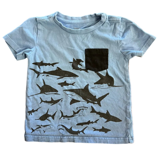 Pekkle T-Shirt, 4T
