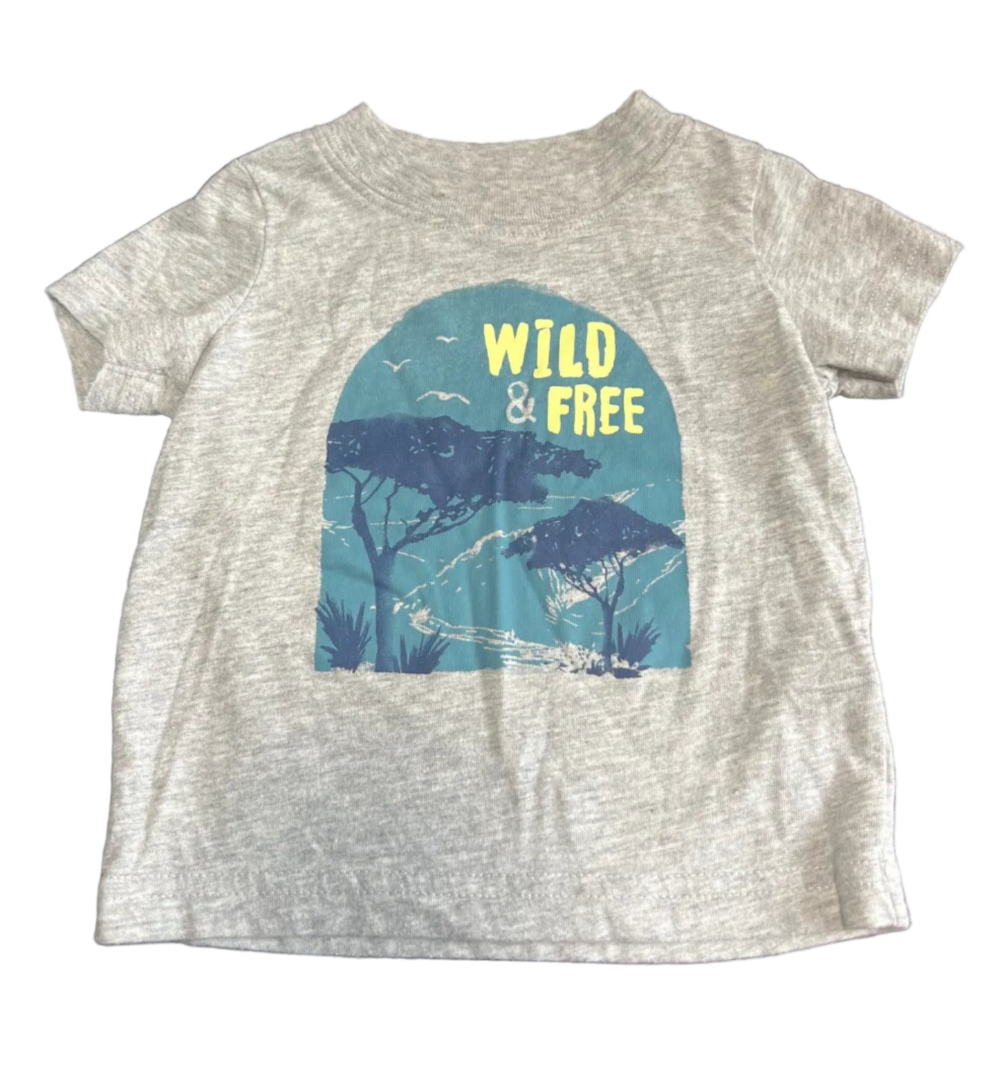 Carter’s Shirt, 3-6 months