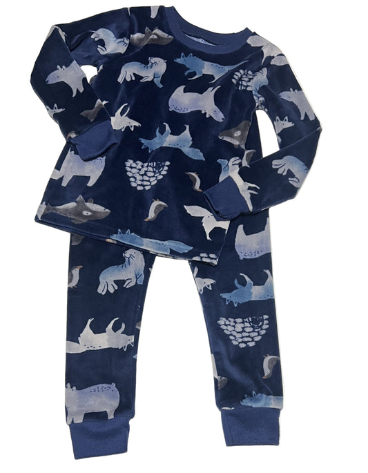 Carter’s PJ Set, 3T